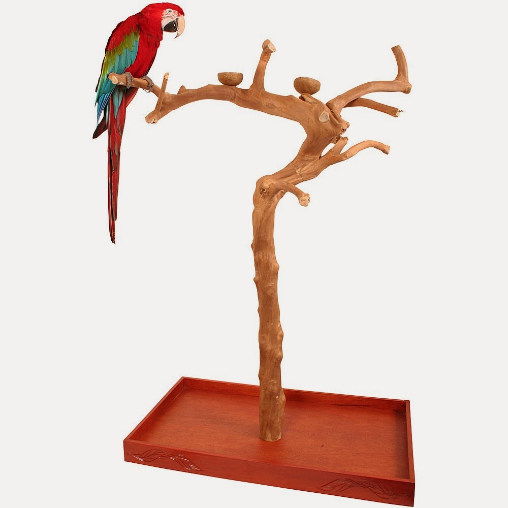We Heart Parrots How to Make a Parrot Tower