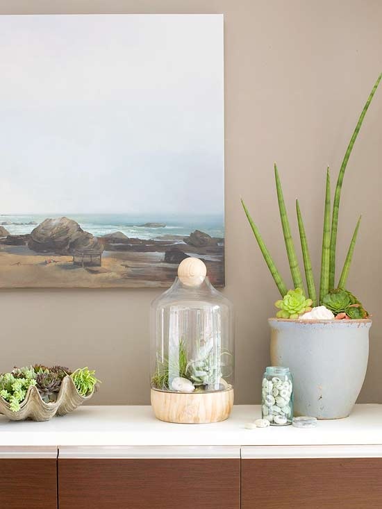 ciao newport beach decorating with succulents ciao newport beach decorating with succulents