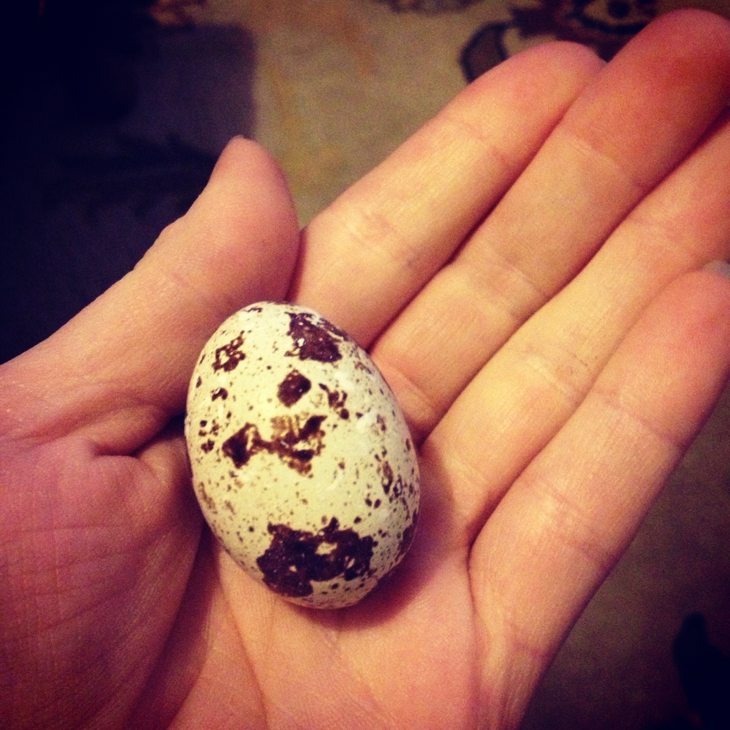 AMAZING52 EAT PICKLED QUAIL EGGS