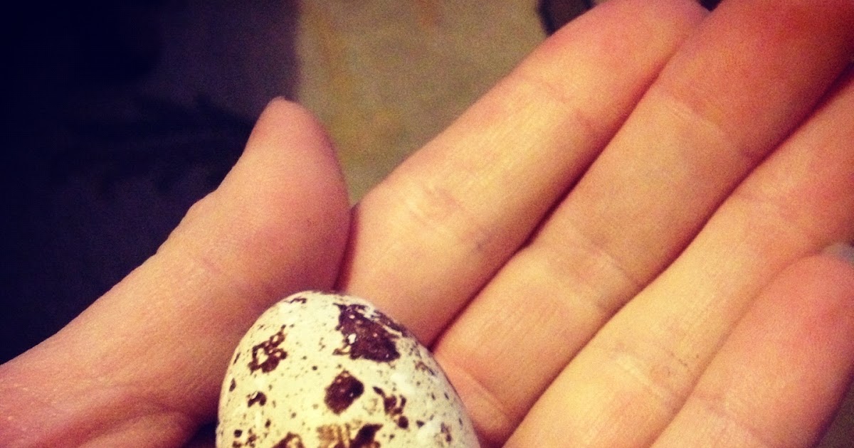 AMAZING52: EAT - PICKLED QUAIL EGGS