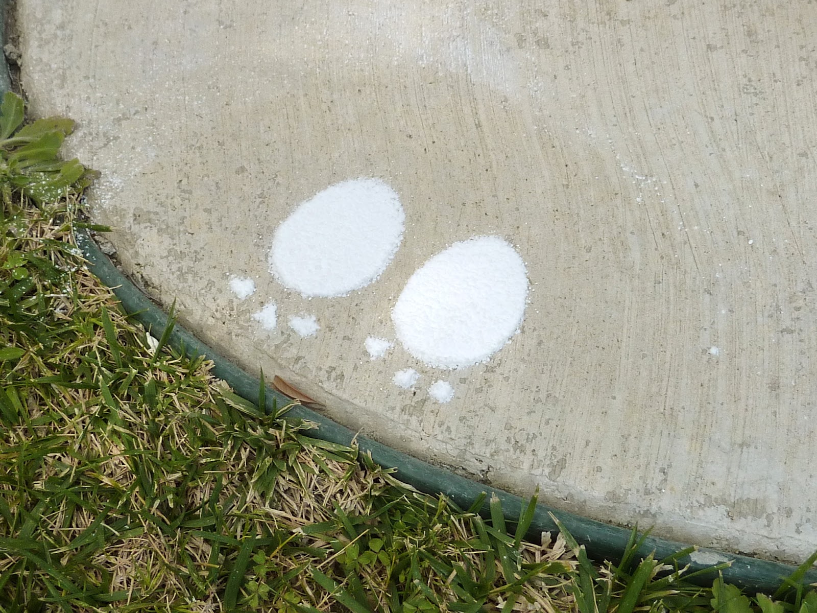 Lizy B DIY Easter Bunny Footprint Tutorial!