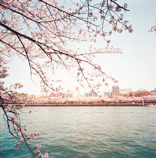 Imagenes Vintage Mar | banco de imagenes y fotos gratis imagenes vintage parte 4 Imagenes Vintage Mar | banco de imagenes y fotos gratis imagenes vintage parte 4