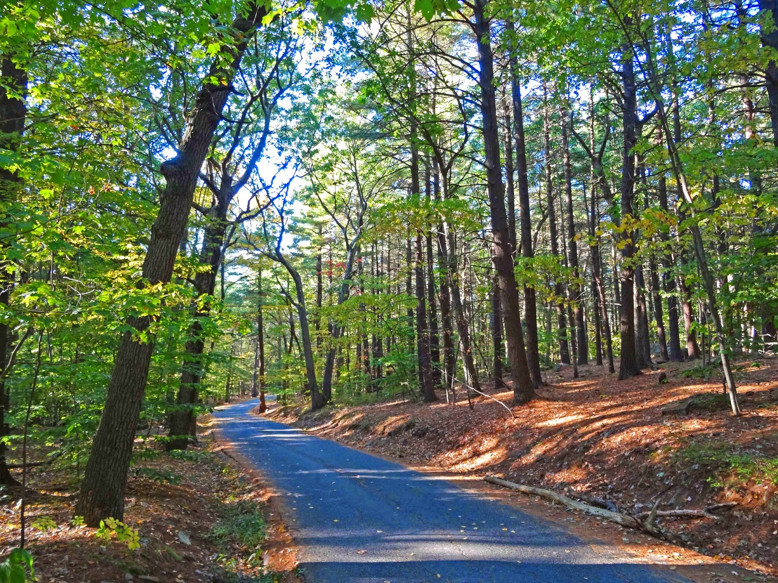 Joe's Retirement Blog A Walk in the Woods, Great Blue Hill, Blue Hills