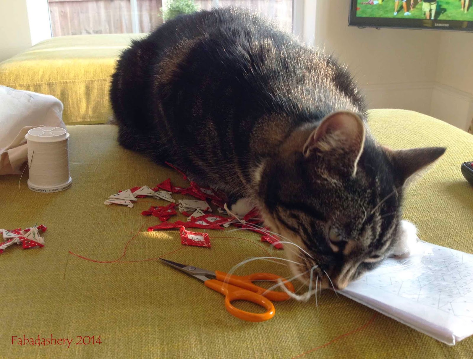 Fabadashery March 2014