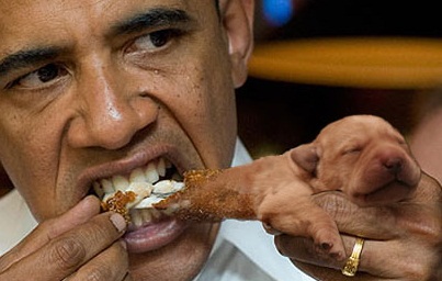 OBAMA%2BATE%2BDOGMEAT.jpg