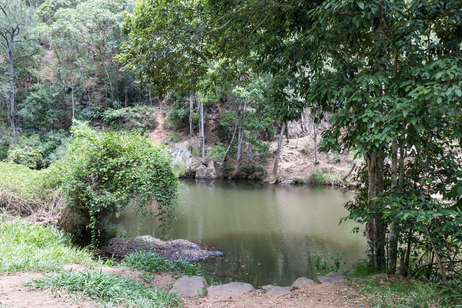 National Park Odyssey Archer Camping Area D Aguilar National Park Qld