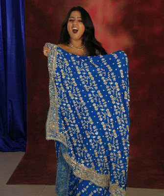 Tollywood Actress Charmi Blue Saree Photos