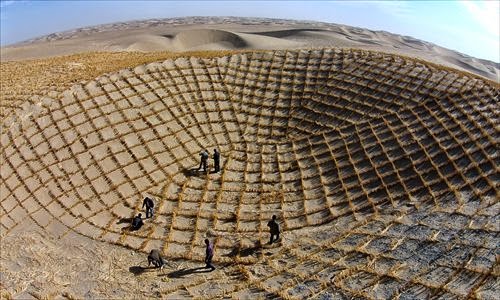 Spring Cleaning Severe Renewal Pruning Ramblings From A Desert