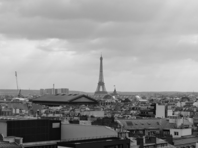 Vue panoramique de Paris - Galeries Lafayette Haussmann
