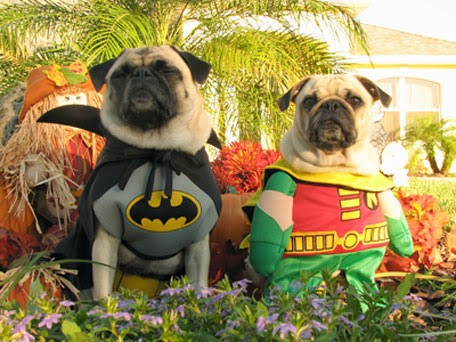 Batman and Robin Dog Halloween Costumes 
