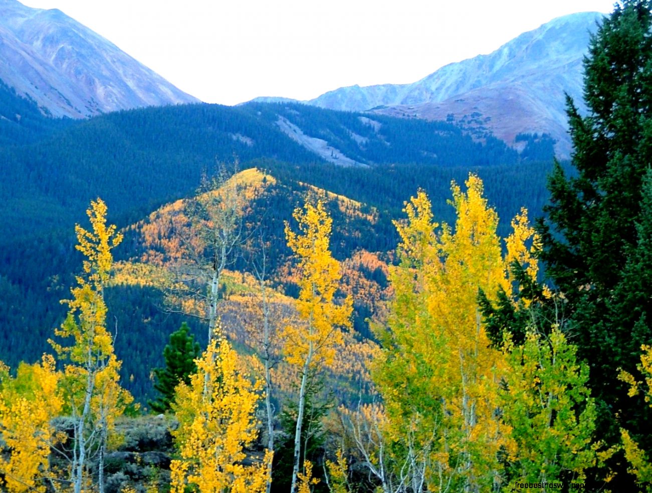Welcome to Colorado Scenery At We provide Welcome to Colorado Scenery At We provide