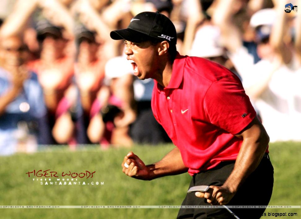 tiger woods 16e tiger woods 16e