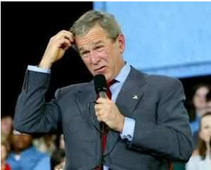 bush-idiot.jpg