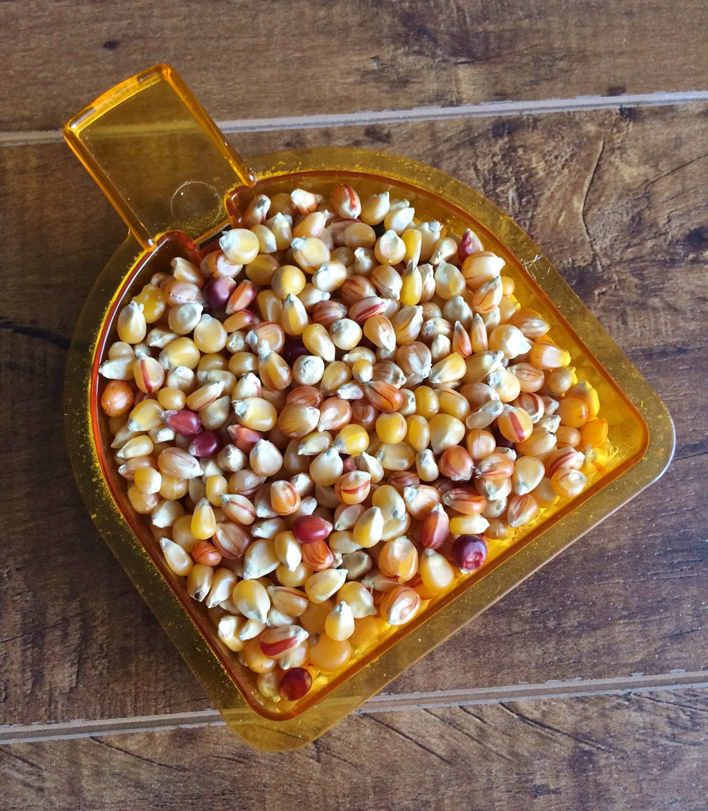 My Tiny Oven Salt & Vinegar Popcorn