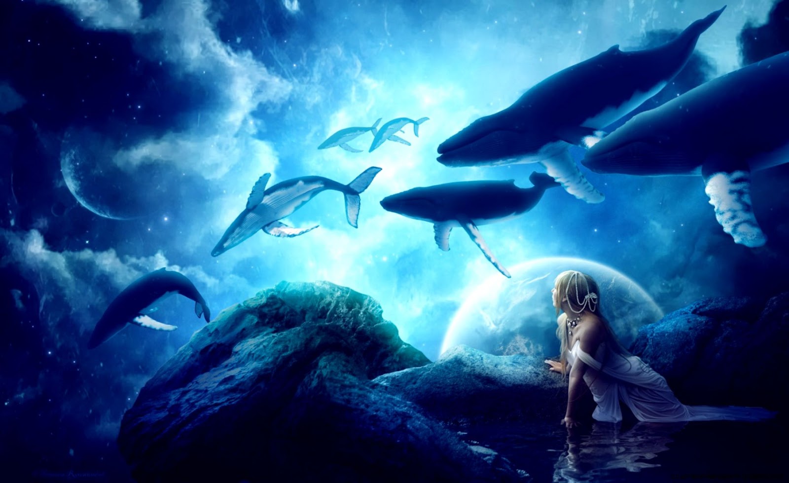 Whales Dream Wallpapers HD Wallpapers Whales Dream Wallpapers HD Wallpapers