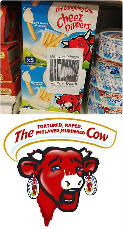 my favorite animal dog essay my favorite animal dog essay