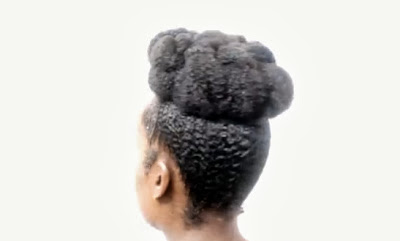 Twist Roll And Tuck Updo For Natural Hair Protective Styling