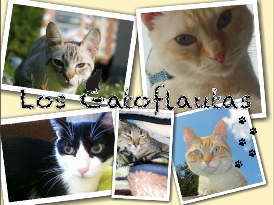 Los Gatoflautas