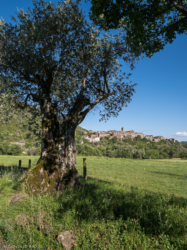 Boltaña Boltaña