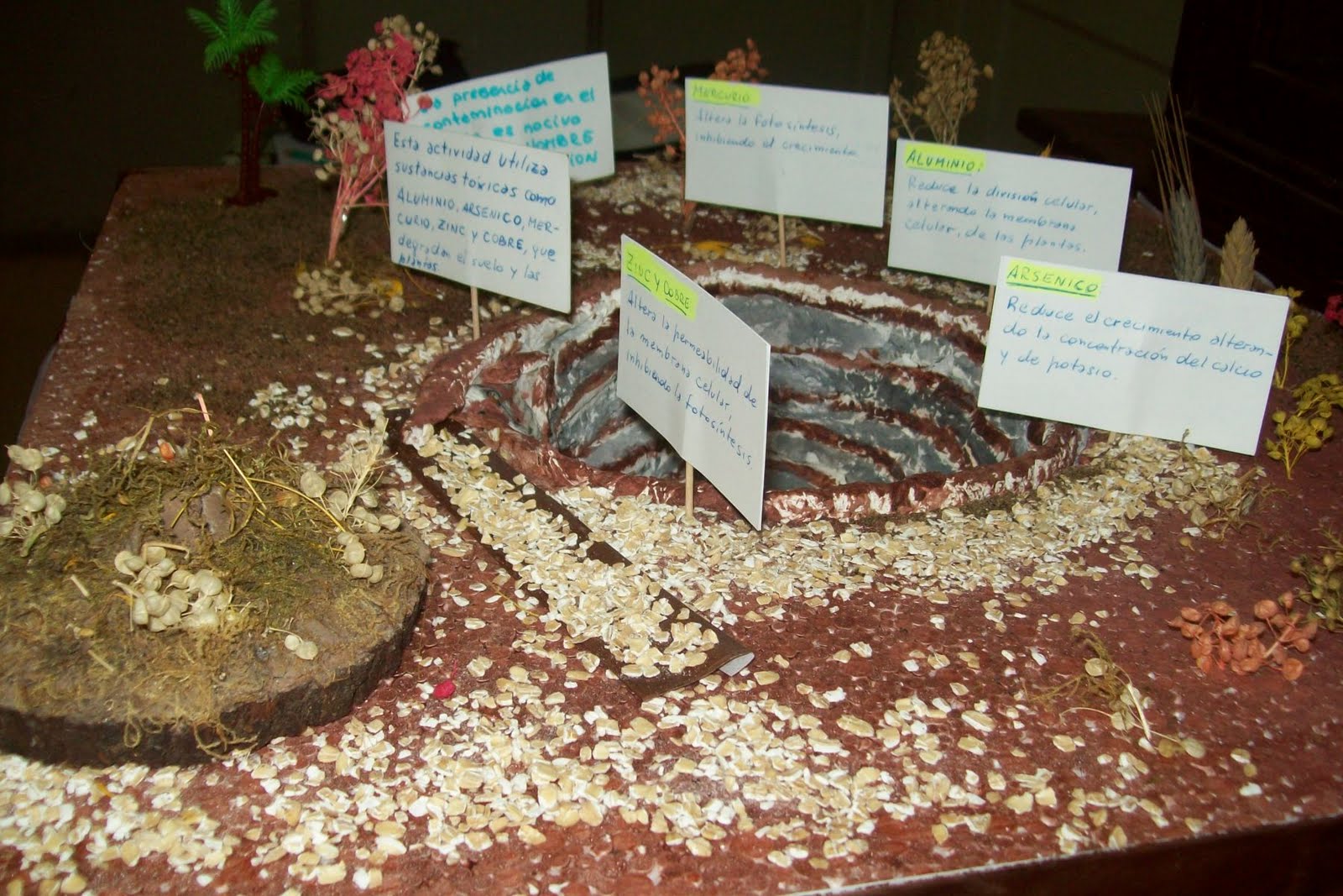 Maqueta Hecha Por El Grupo De Juan Pablo Franco Santiago Enzo | bit 225 cora de sexto problemas ambientales Maqueta Hecha Por El Grupo De Juan Pablo Franco Santiago Enzo | bit 225 cora de sexto problemas ambientales