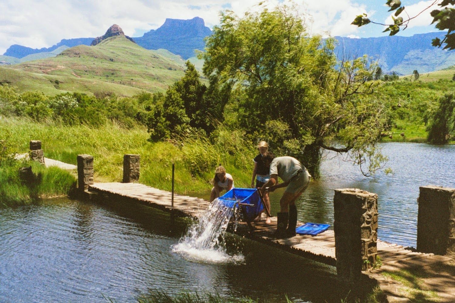 Trout and Kitchen Trout fishing in South Africa