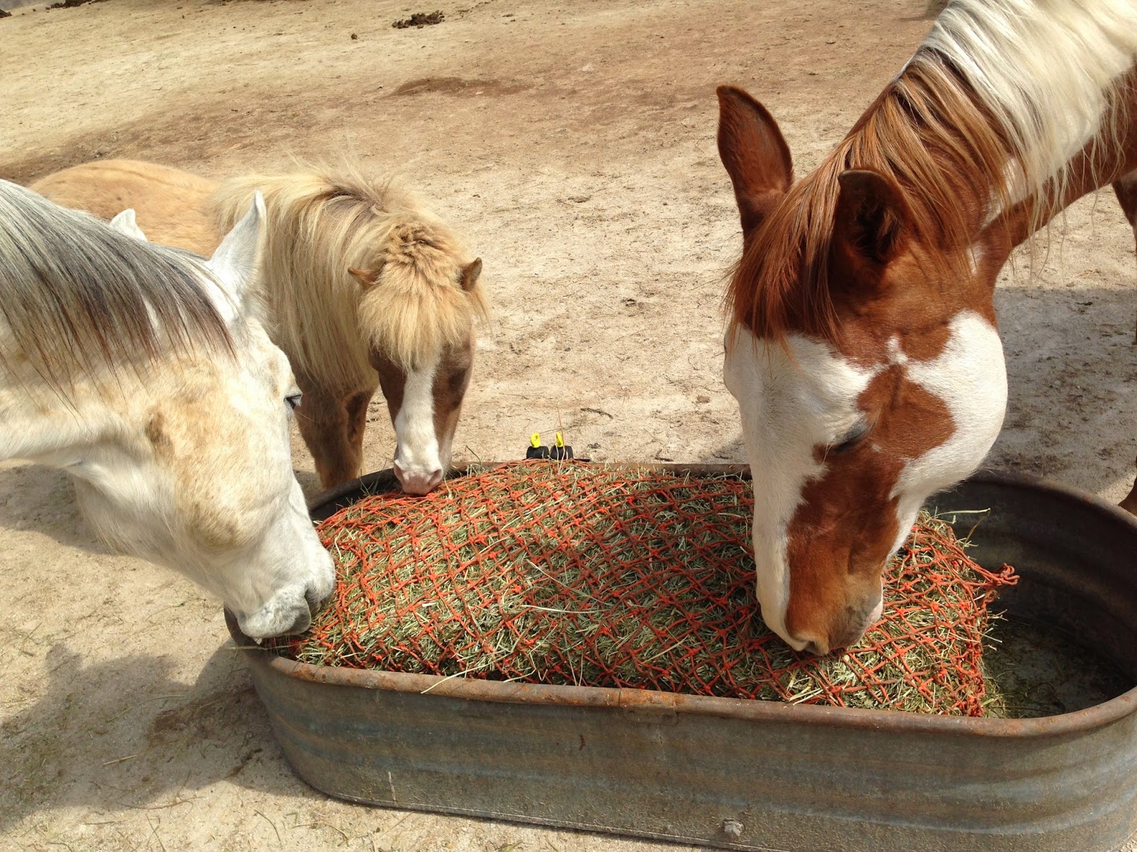 HayWeyer Slow Hay Feeders Nets Bags Feeding Horses