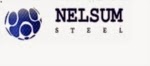 PT Nelsum Steel PPT Nelsum Steel