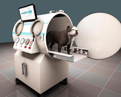 India. Veterinary Hyperbaric Oxygen Therapy Chamber (VHBOT) for small animals.
