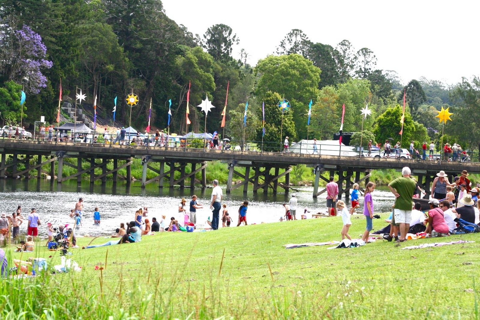 and the trees The Bellingen River Festival