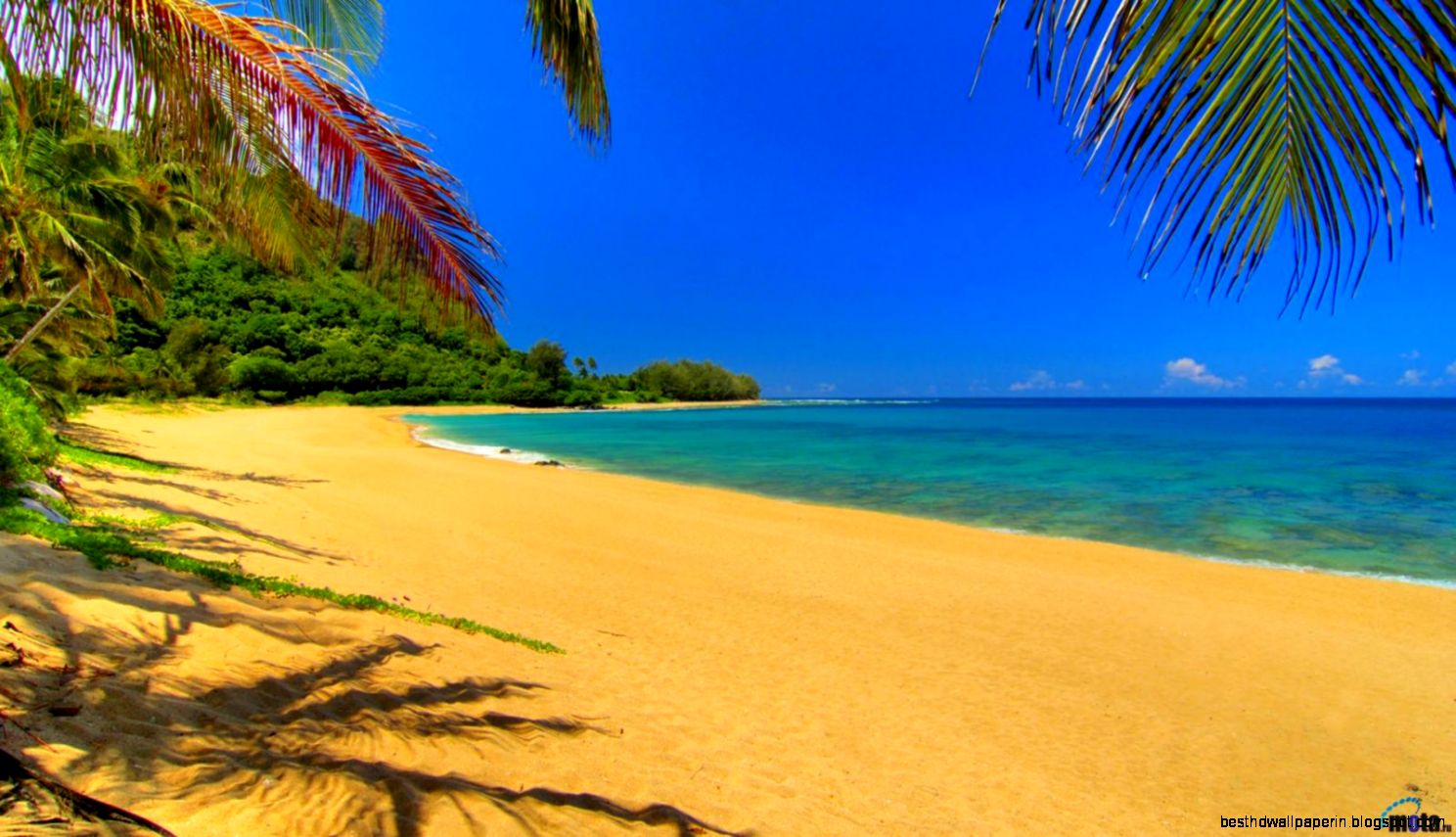 Beach Shade Hawaii Hd Hd Wallpapers Beach Shade Hawaii Hd Hd Wallpapers