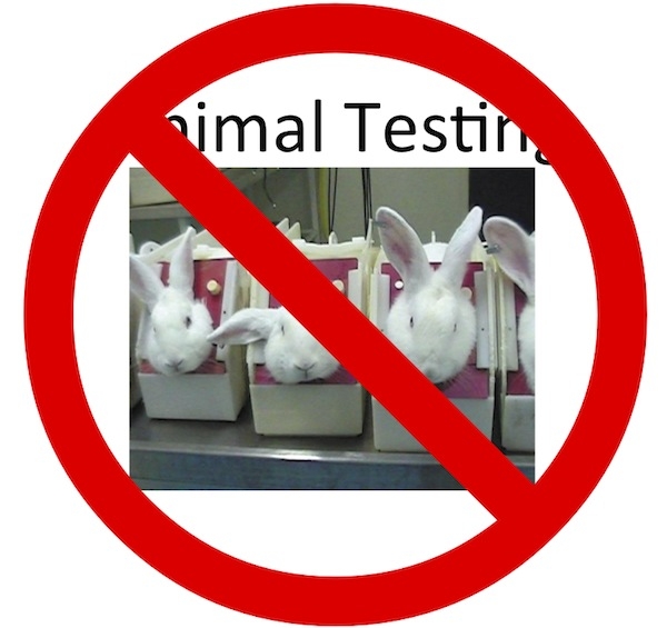 an argument against animal experimentation in the united states Cosmetic companies in the united states and abroad that conduct animal tests will not be able to sell those are there other arguments against testing on animals. an argument against animal experimentation in the united states Cosmetic companies in the united states and abroad that conduct animal tests will not be able to sell those are there other arguments against testing on animals.