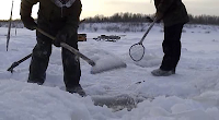 Happy People: A Year in the Taiga (2010) Happy People: A Year in the Taiga (2010)