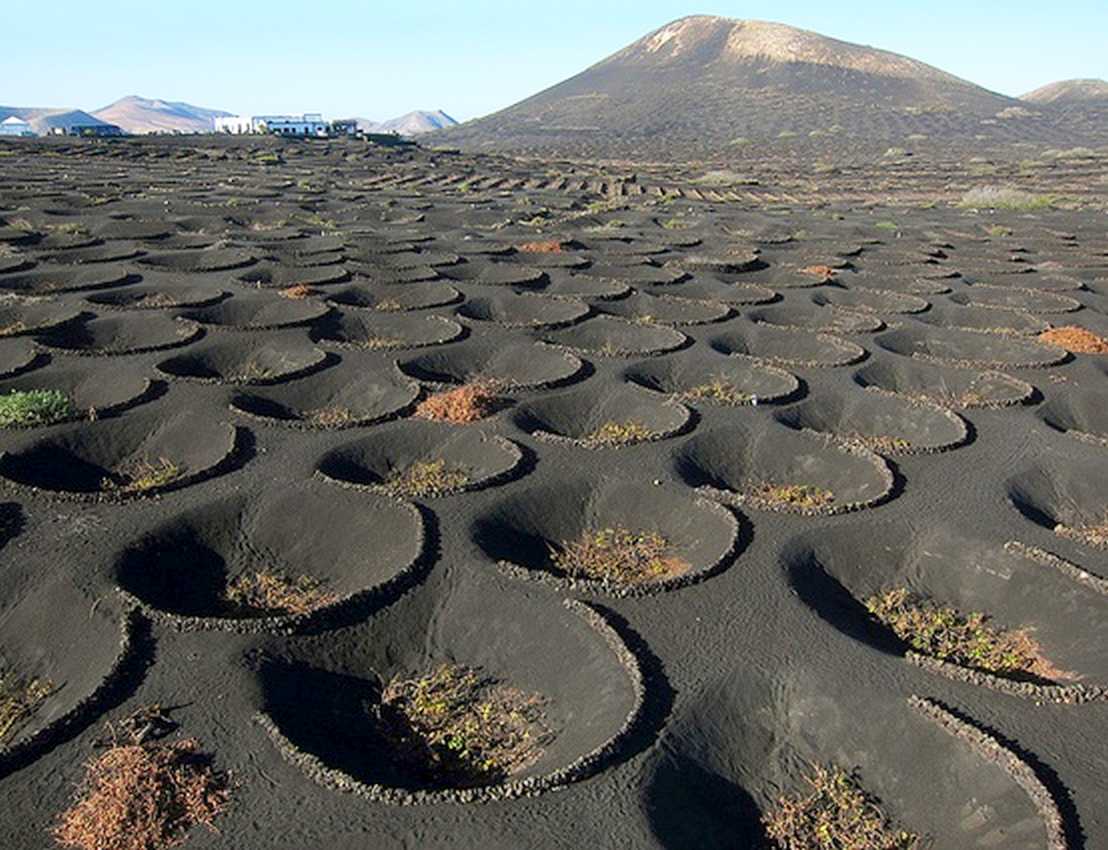 Lanzarote Condensation