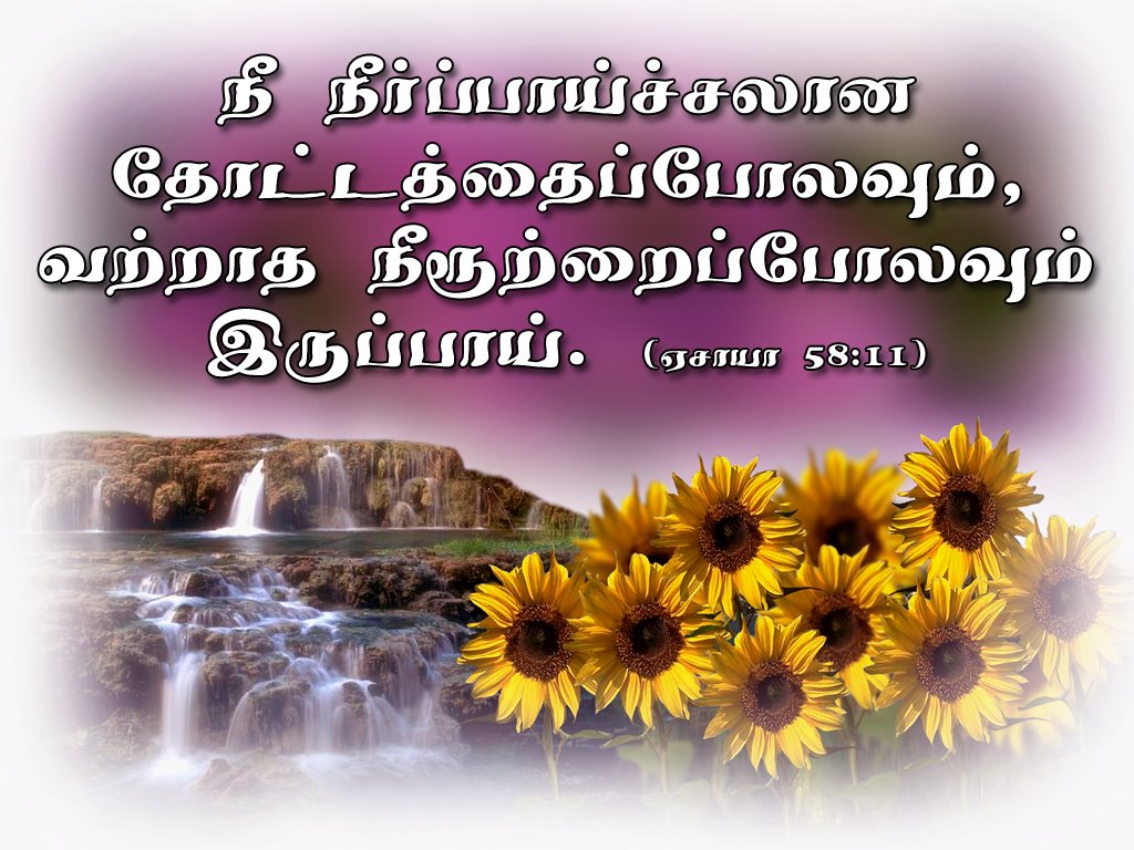 Holy Bible Tamil English Software Free Download