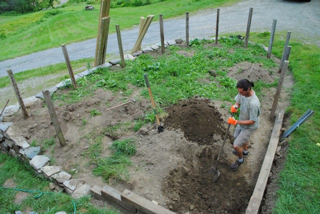 The Little Dog Blog: Our DIY Retaining Wall Garden, Start to Finish