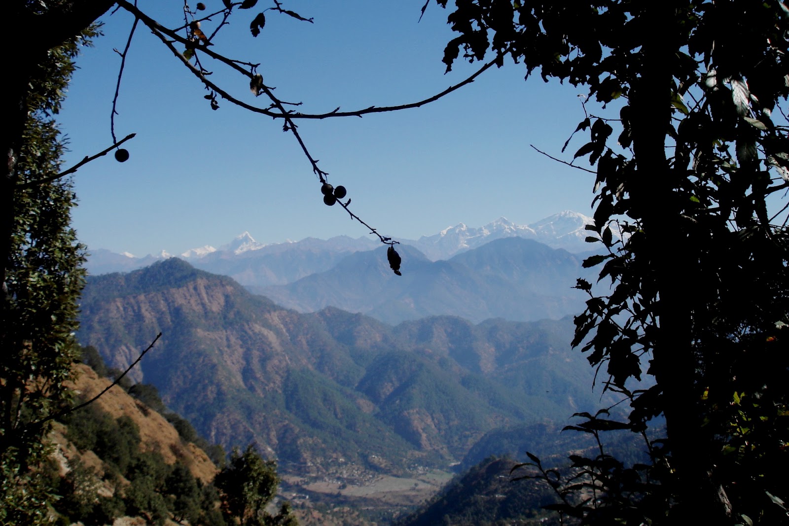 nagnath pokhari