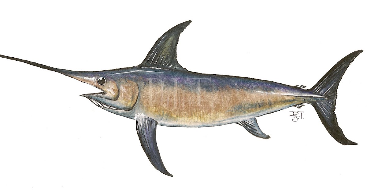 BlueSpace Fish Painting Swordfish