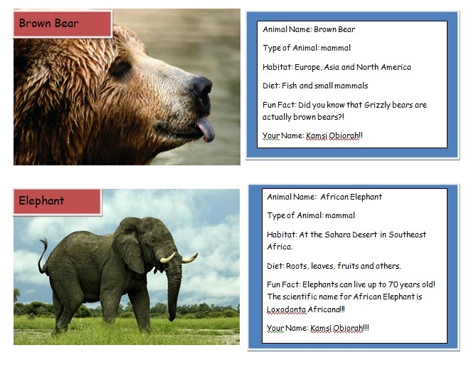 HTS 3rd Grade Technology Blog: Wow! The Animal Trading Cards are Beautiful!