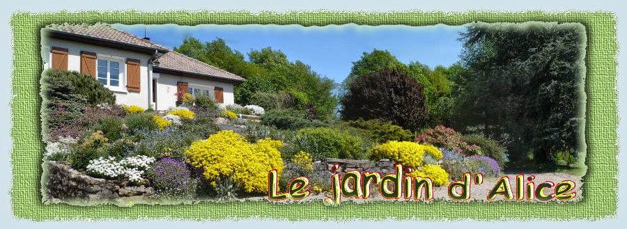 Le jardin d'Alice à Saint Péreuse