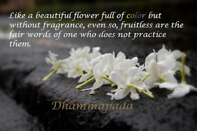 Buddha Quotes Online: Like a beautiful flower full of color but without