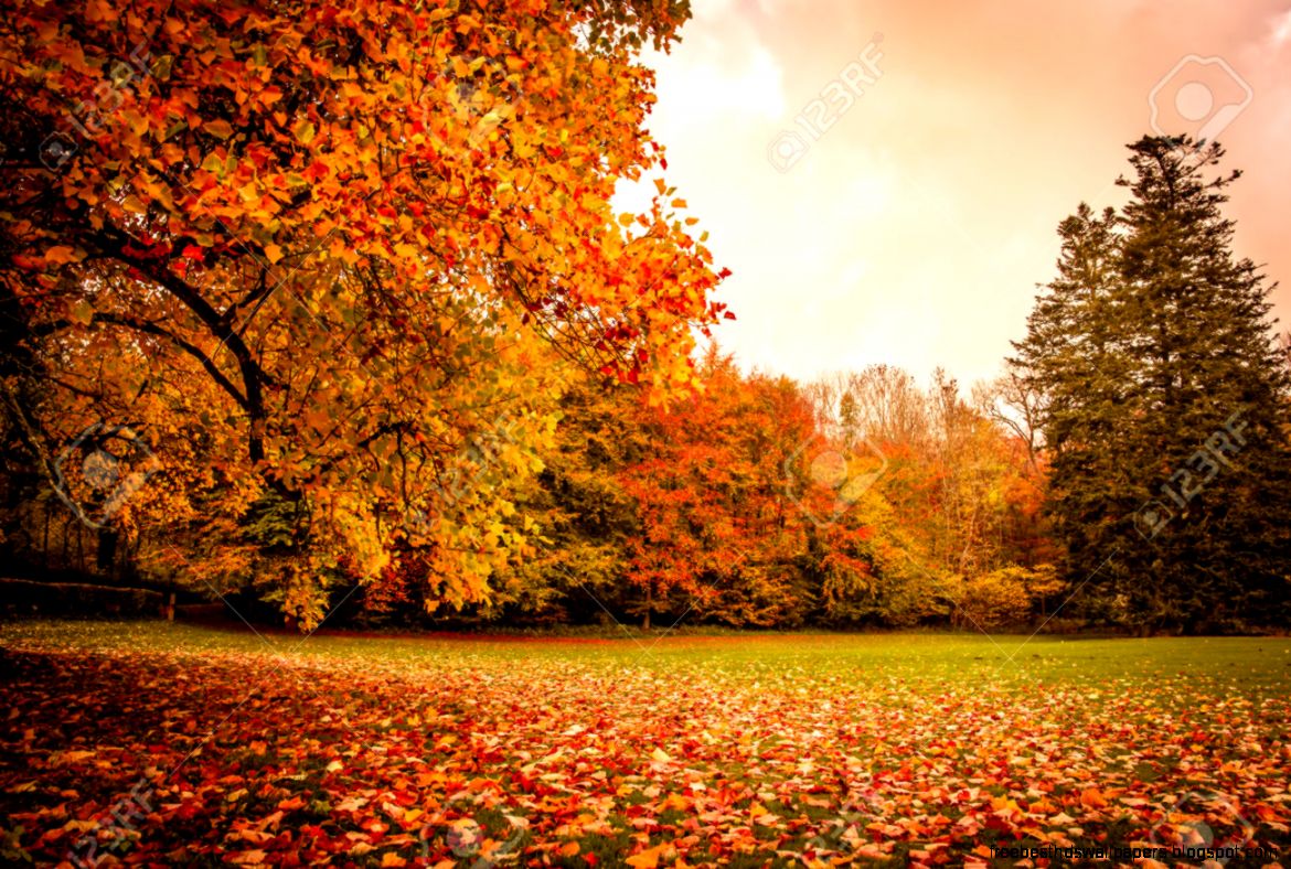 Beautiful Autumn Landscape In Warm Colors Stock Photo Picture And Beautiful Autumn Landscape In Warm Colors Stock Photo Picture And
