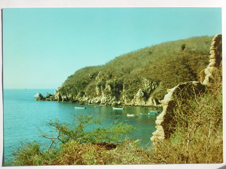 Bay in Mexico