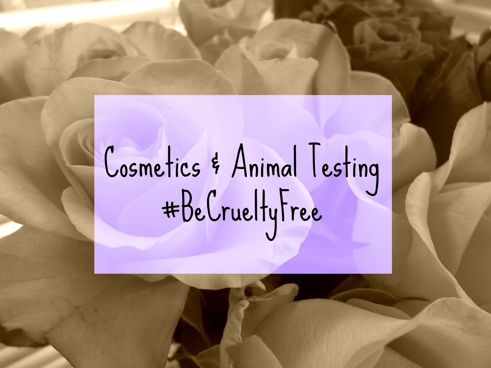 Cosmetics & Animal Testing BeCrueltyFree Sugarpuffish