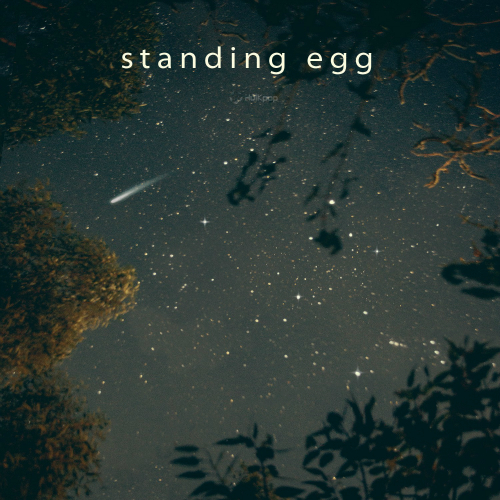 Standing Egg – Starry Night – Single