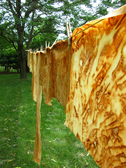 The Silly BooDilly Rust Stains