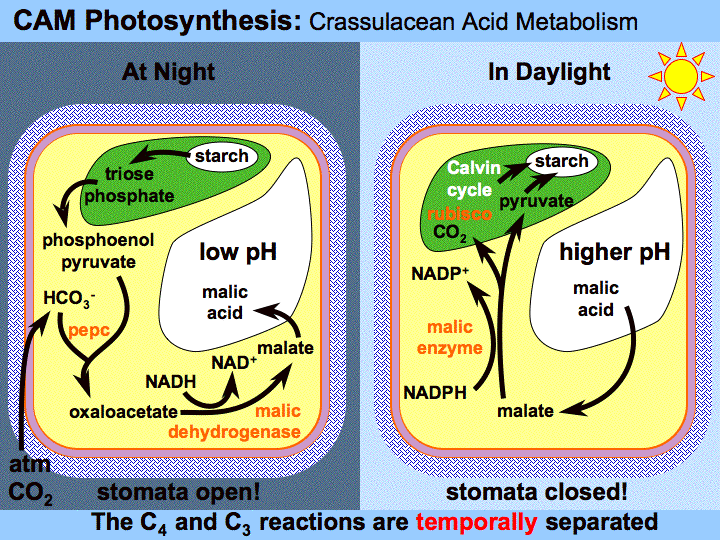 BIOL 1404 (McG�s Part) 2012 February 2012