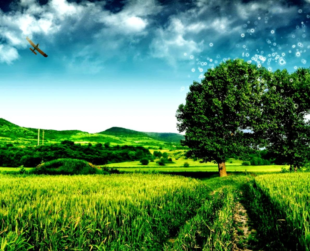 1280x1024 Hd Wallpapers and Background 1280x1024 Hd Wallpapers and Background