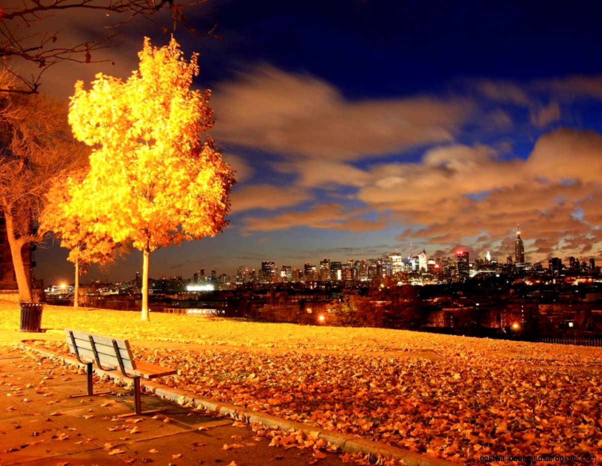 autumn view wallpaper 82808 HQ Desktop Wallpapers autumn view wallpaper 82808 HQ Desktop Wallpapers