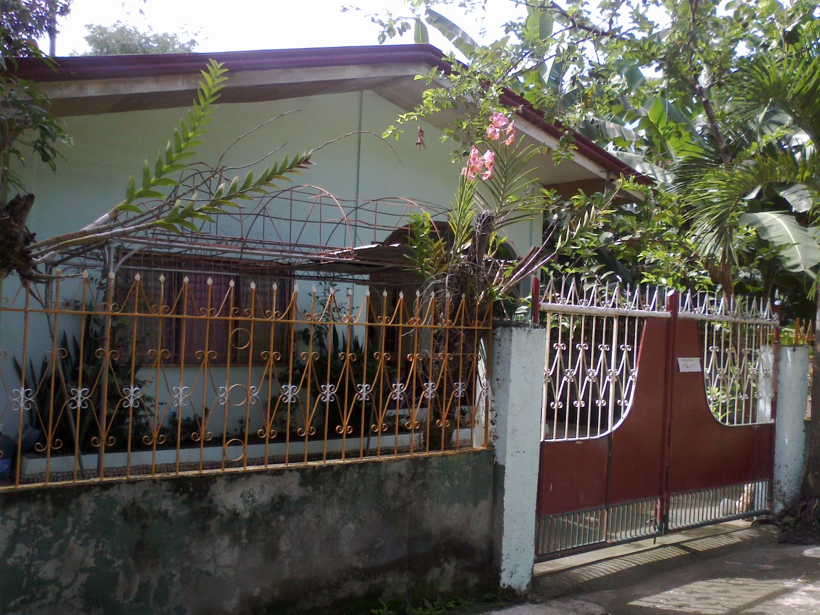 Davao Homes and Properties Iligan City House & Lot For Sale