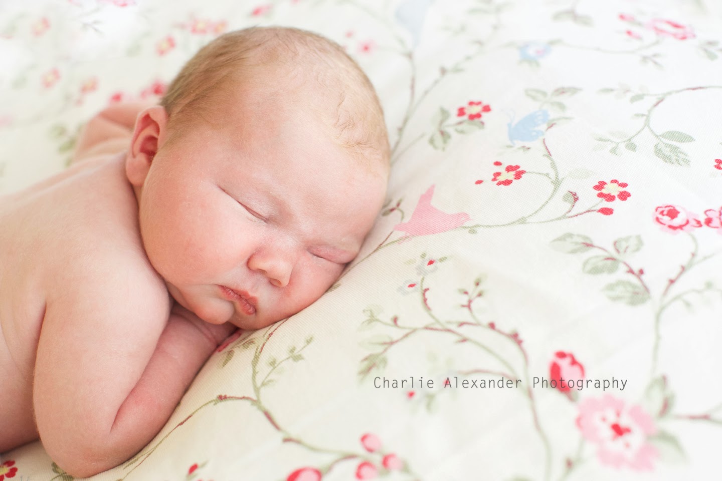 Learning Lessons in Mummyography Baby Girl Isla Paige...